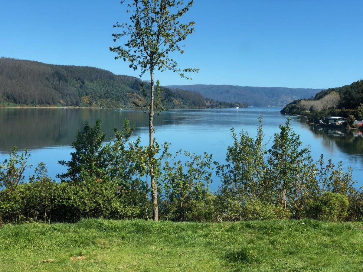 Hotel Boutique Cutipay Valdivia Eksteriør billede